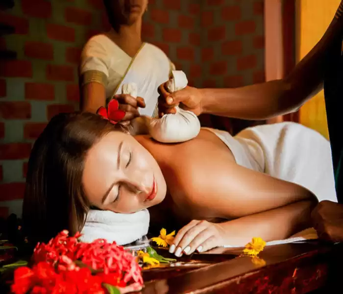 https://vendor.bodyspagoa.in//business/1705126971-Goa-Massage-Centre-in-Goa.webp